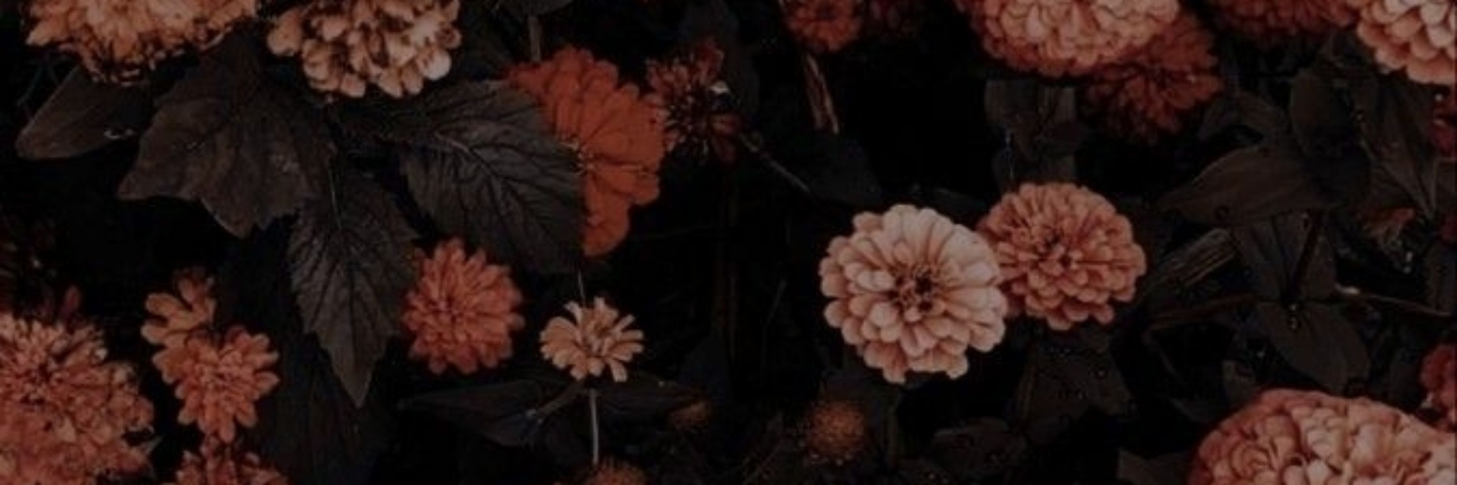 🍁 𝚂𝚑𝚎𝚗𝚔𝚊 | 𝙽𝚘𝚛𝚊 🖤