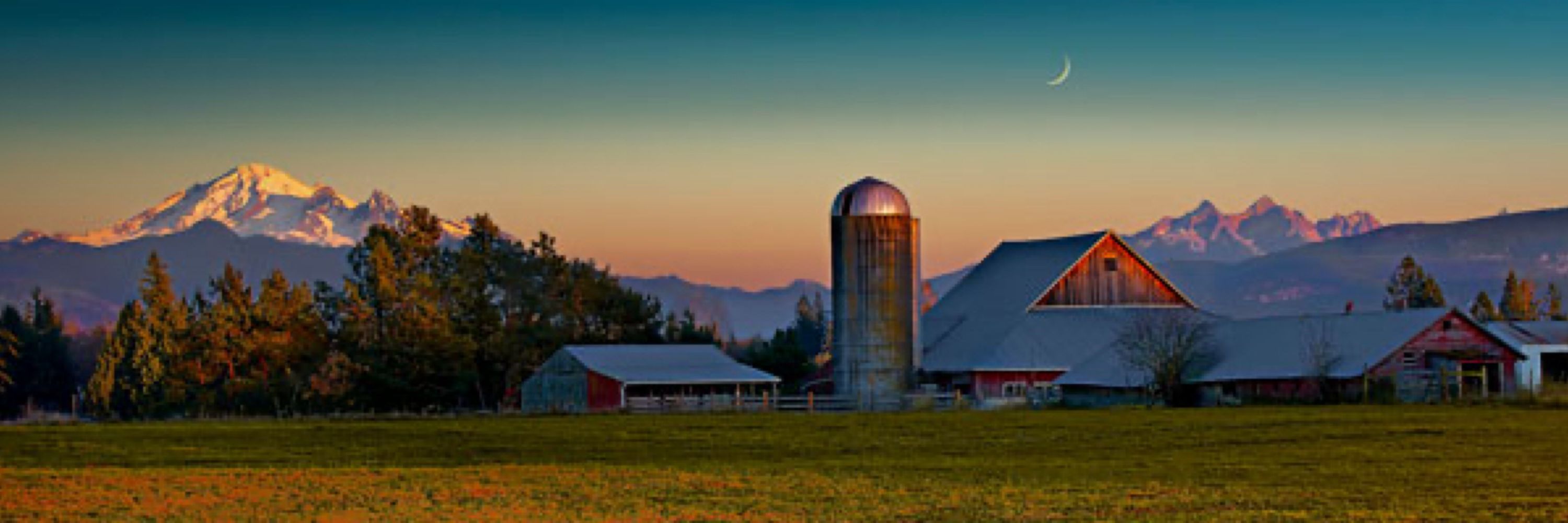 Whatcom Family Farmers
