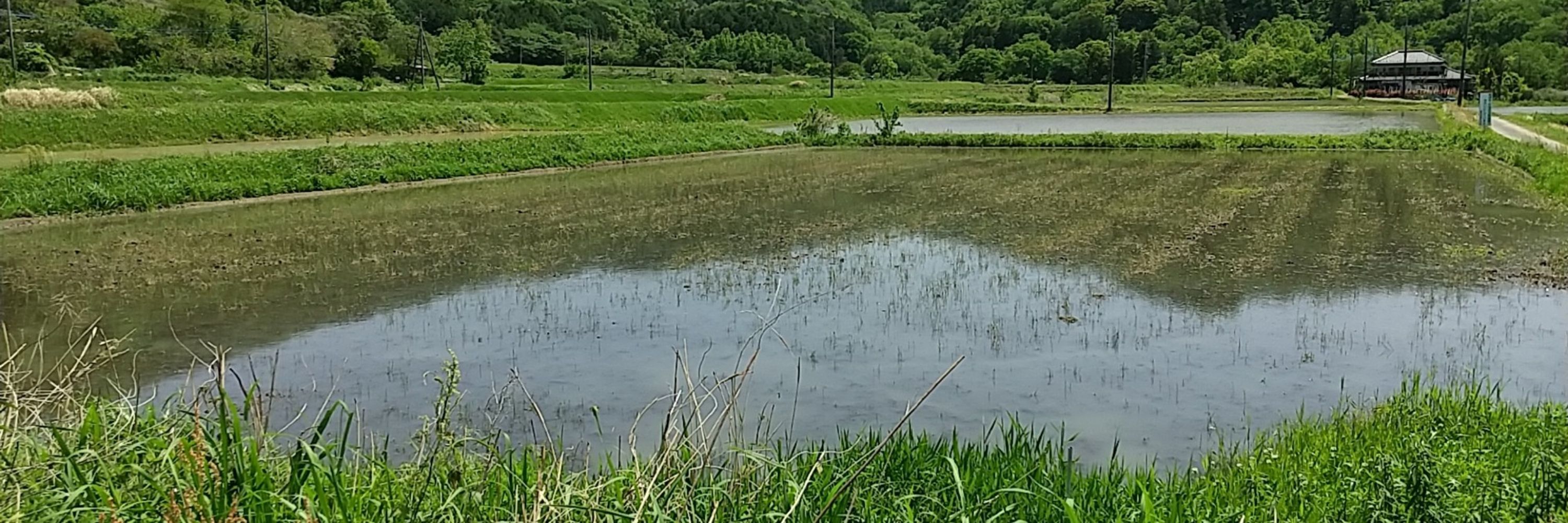 そもそも