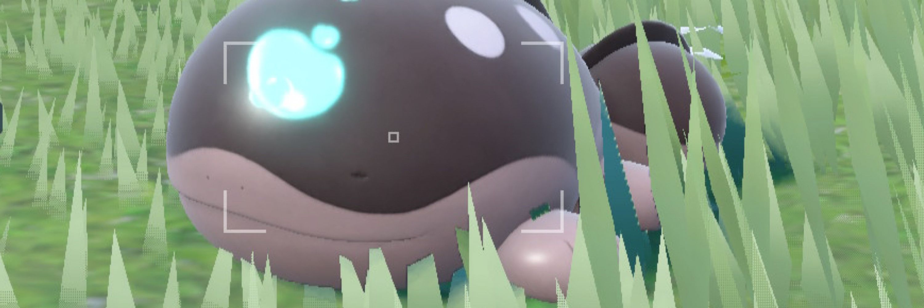 まや