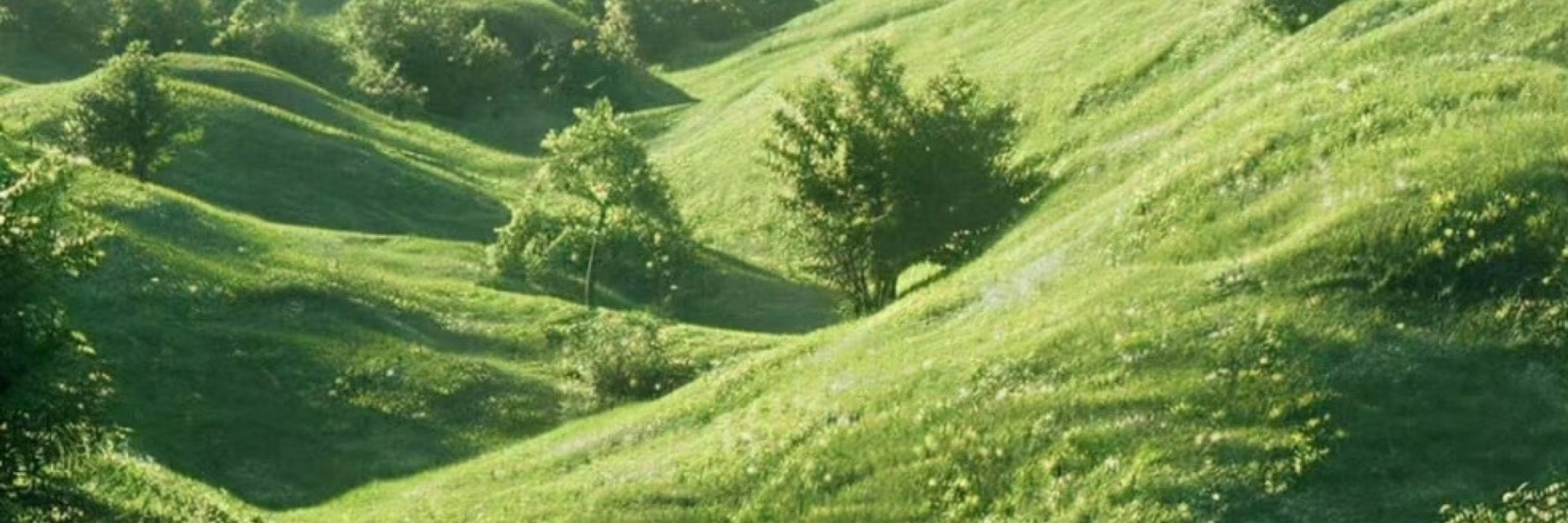 萧山第一恋爱脑