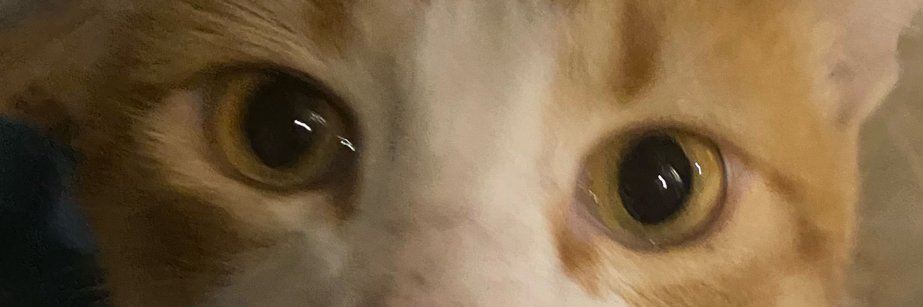 UnderToasted