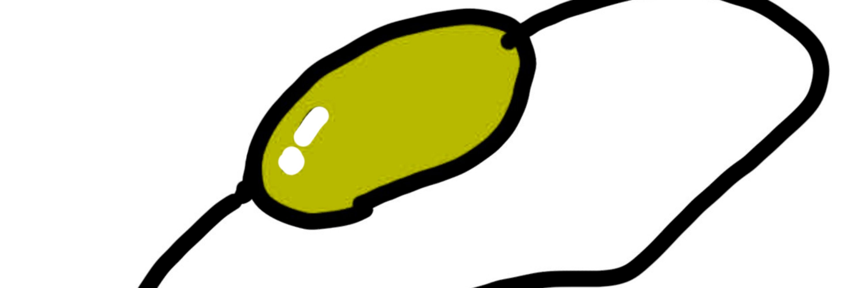 かぽっと