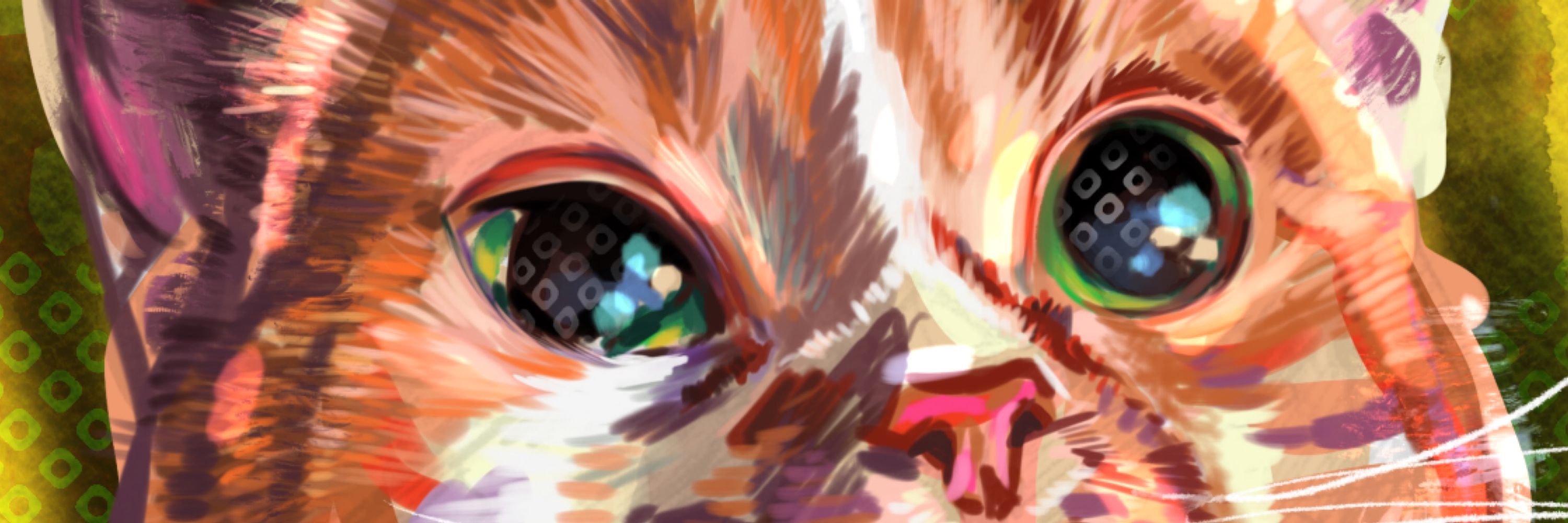 Whizbang Meow