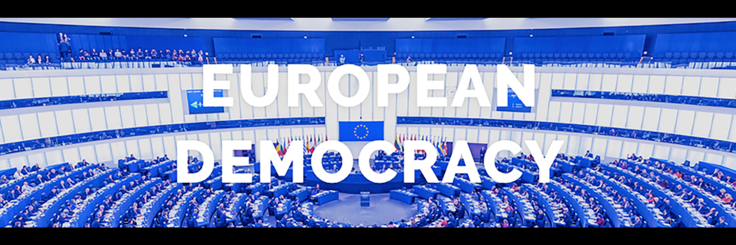 European Democracy Consulting & Stiftung