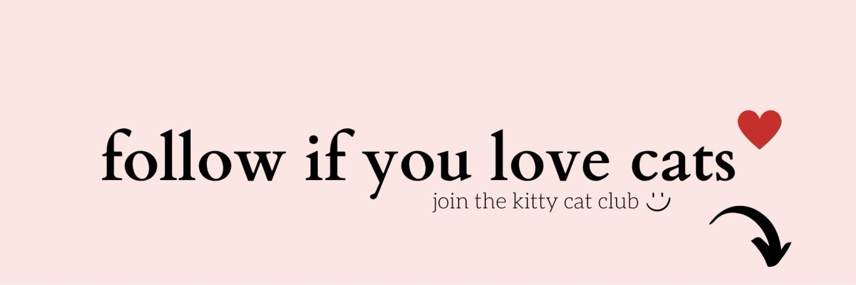 Kitty Cat Empire