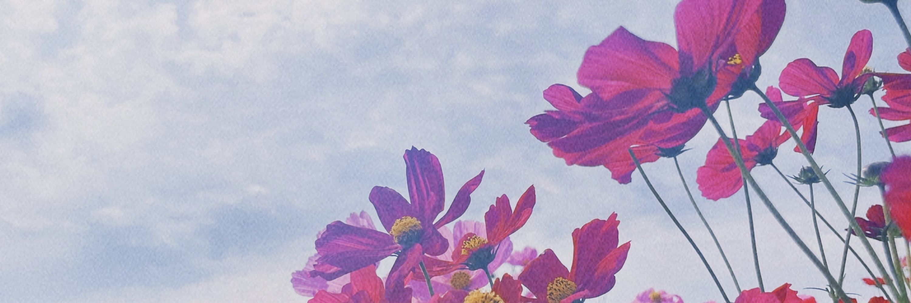 鍵森