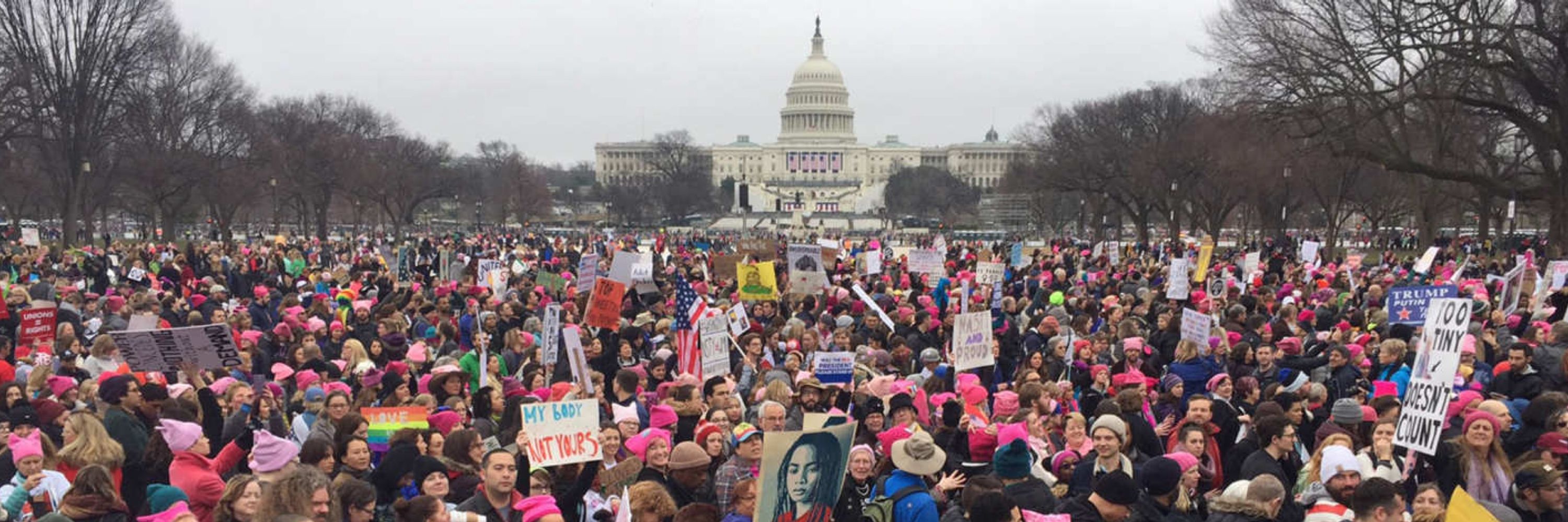 Northern Westchester Indivisible