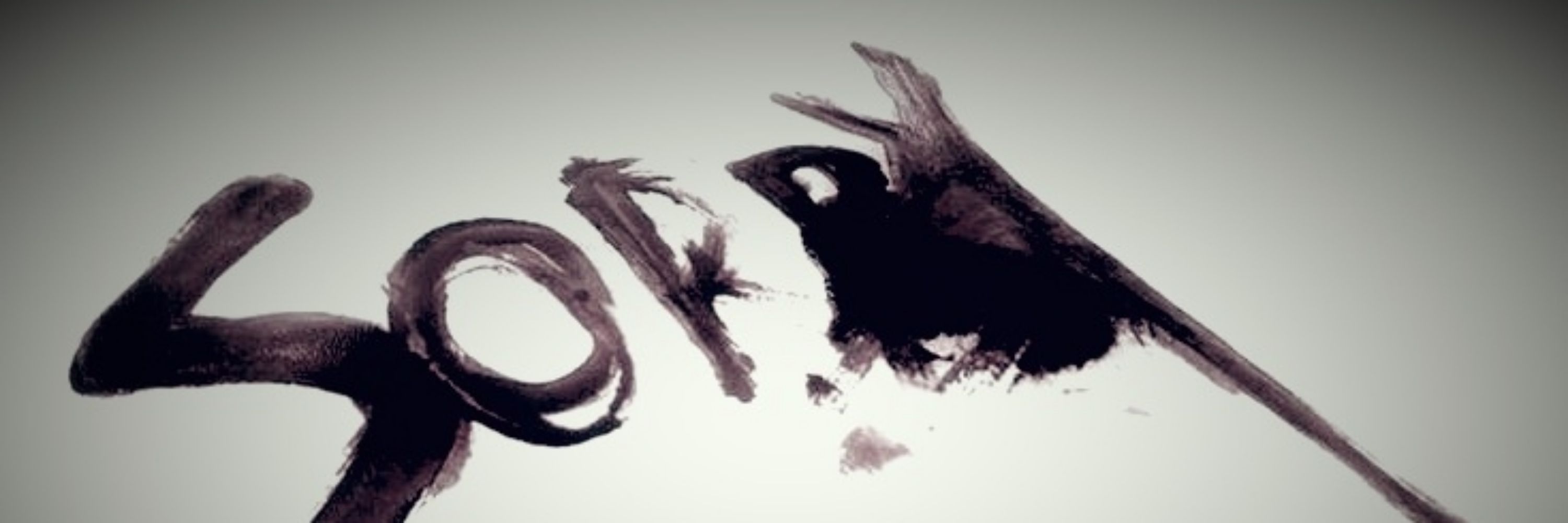             𝔑𝖺𝗍𝗁𝖺𝗇𝗂𝖾𝗅 𝖼𝗈𝗋𝗍𝖺 𝖿𝗈𝖿𝗈. †
