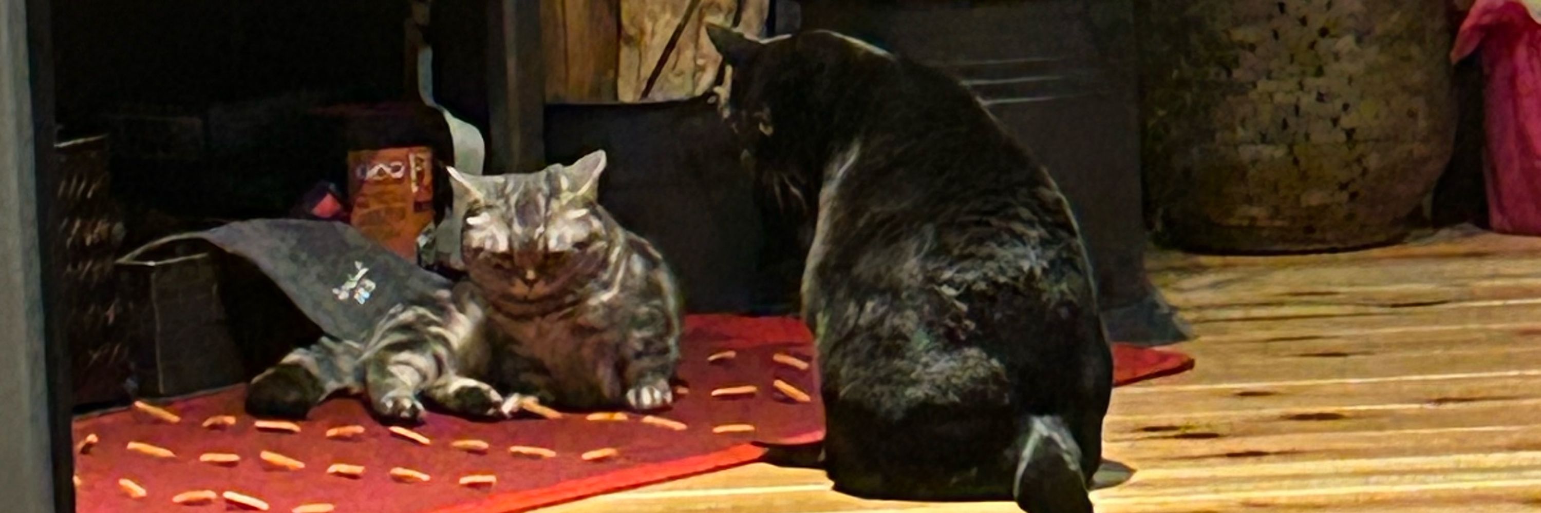 かるかる