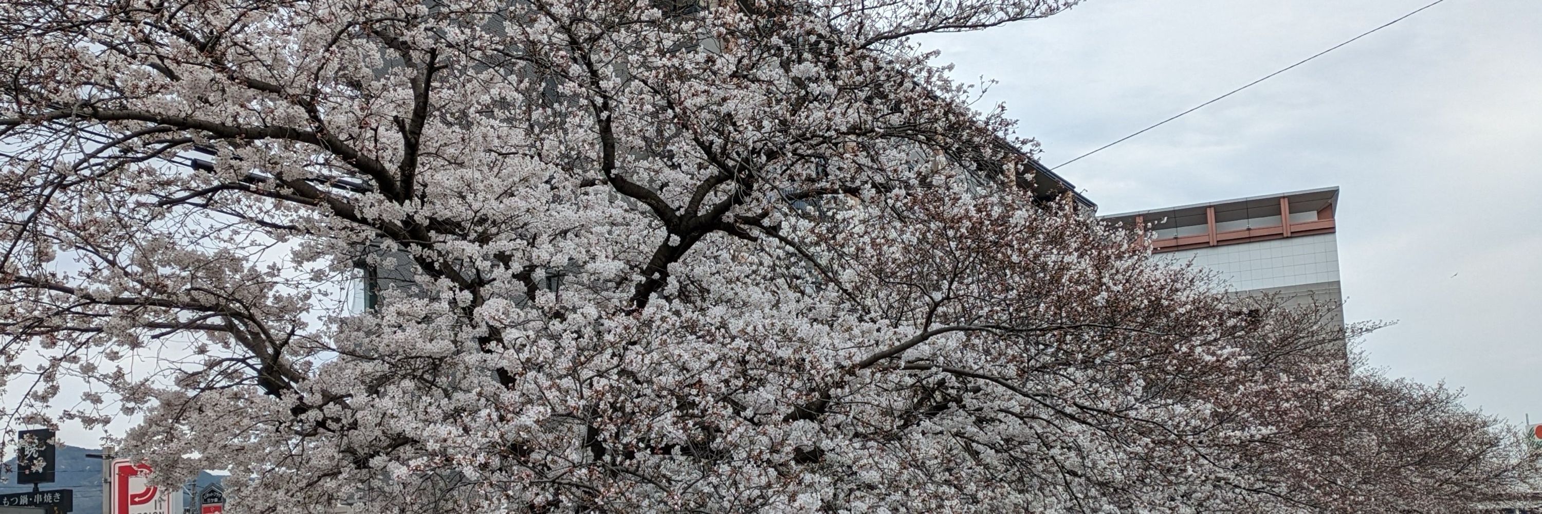アイン