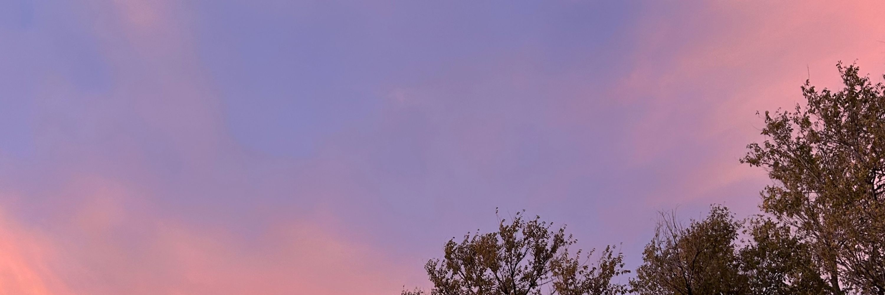 🦌 ☁️ Autumn Blue 🍂 🐺