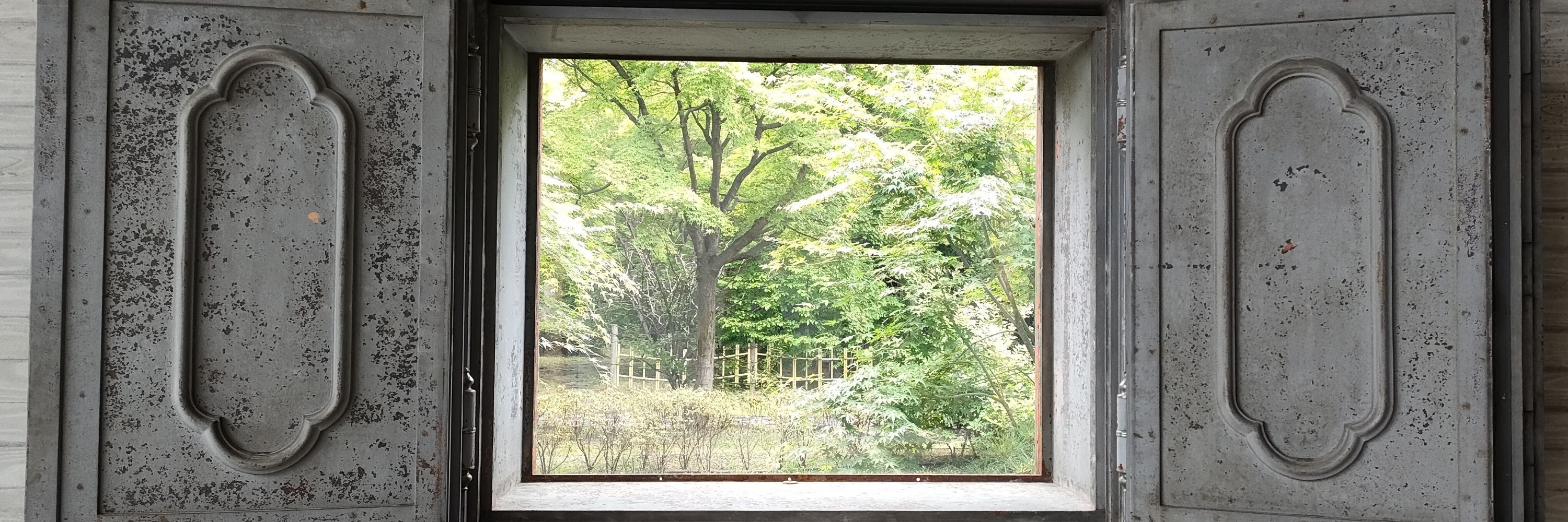 マイタケコ