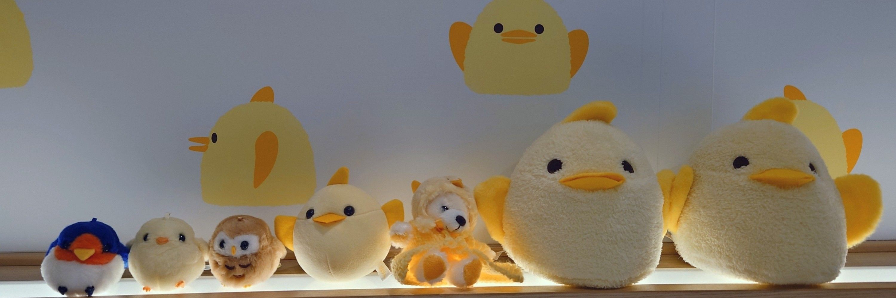 ひよこ