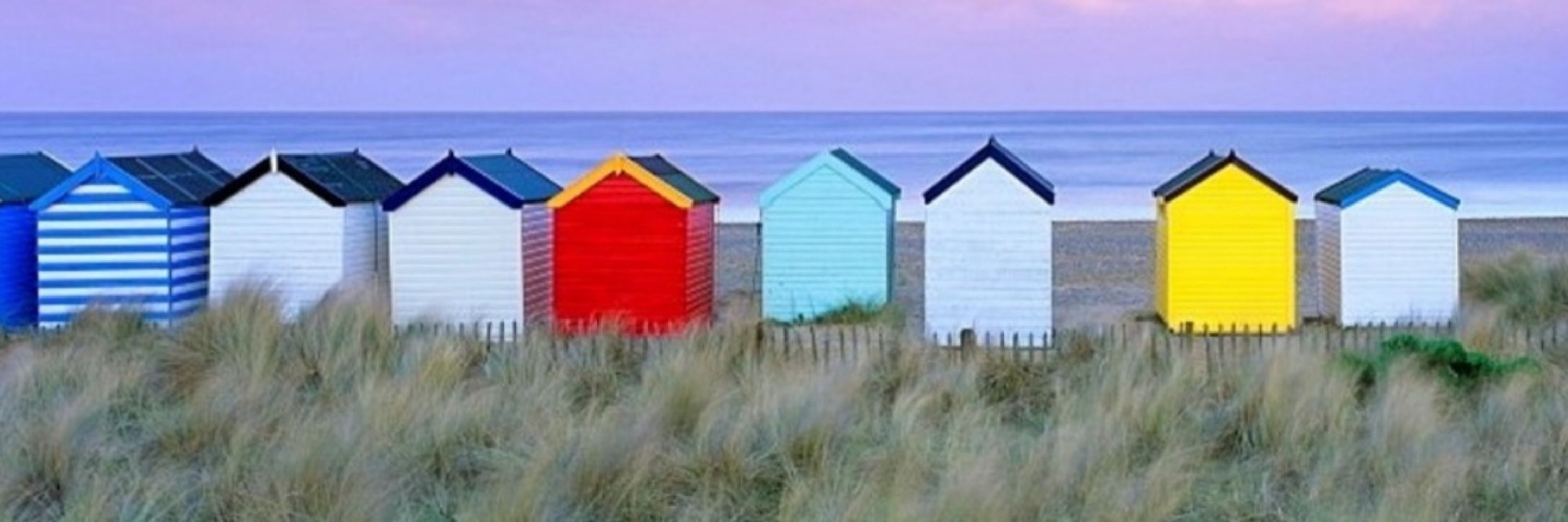 Suffolk Bee