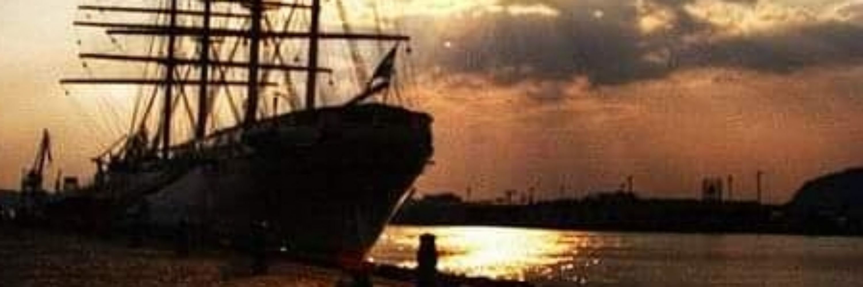 The Coiler