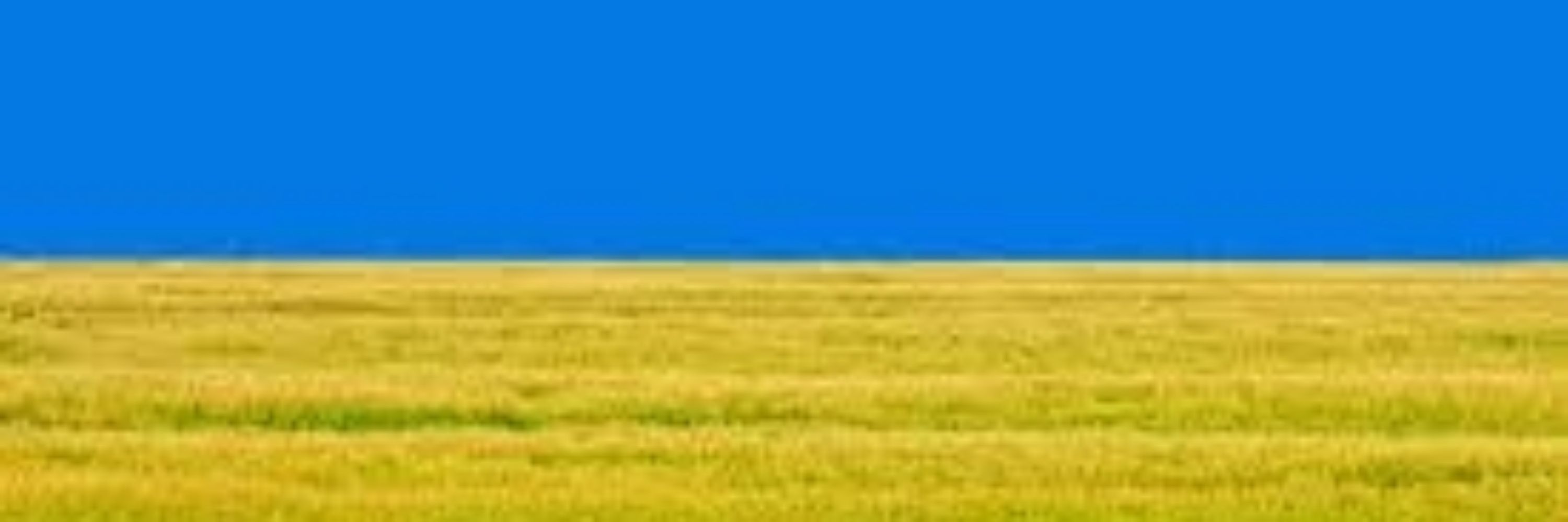 amtliche dorfkatze 🇺🇦🇮🇱