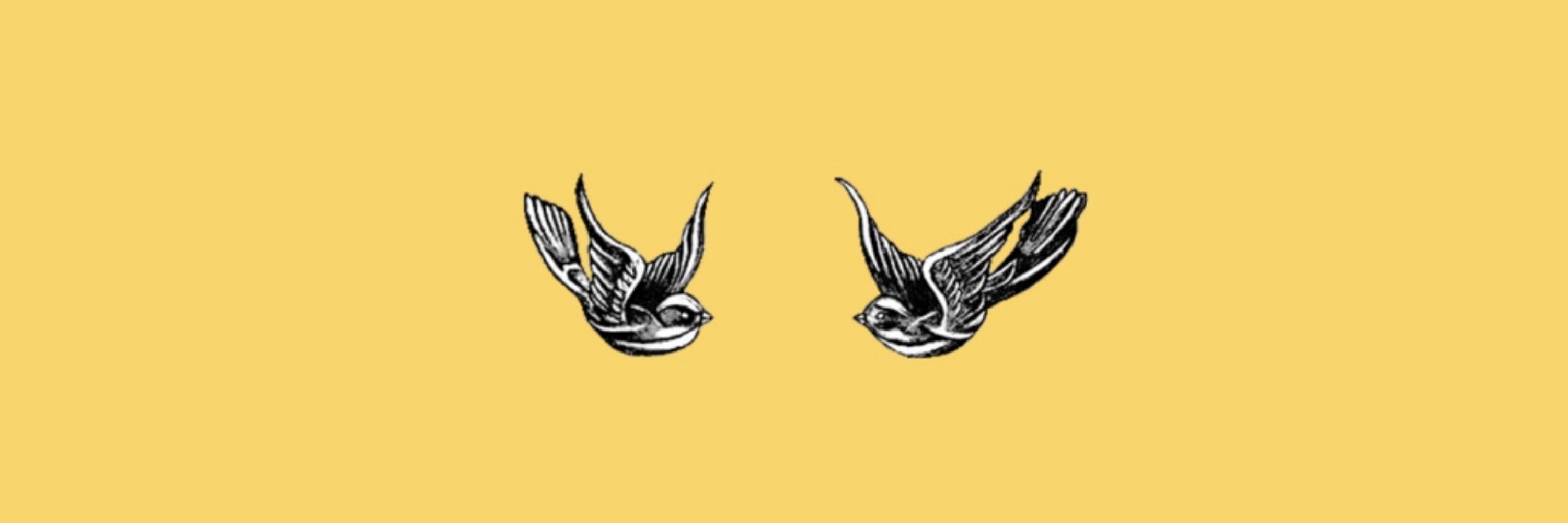 𝕃𝕒𝕦𝕣𝕒🌻🦋×͜× ❯❯❯❯
