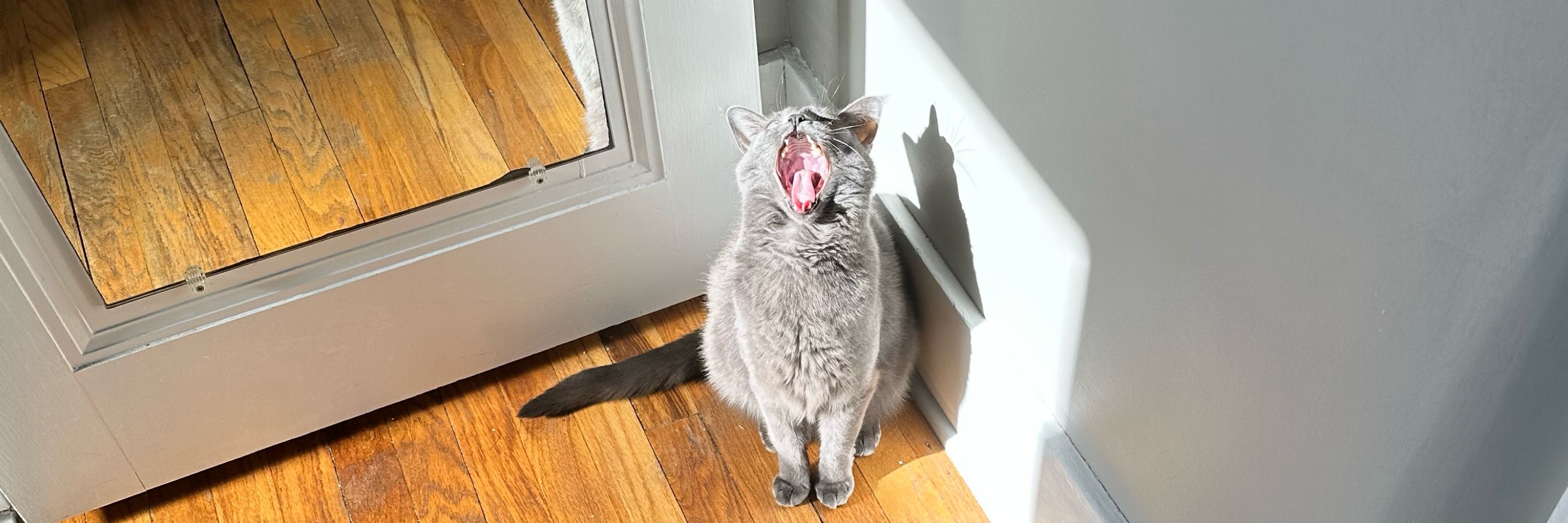 Mel