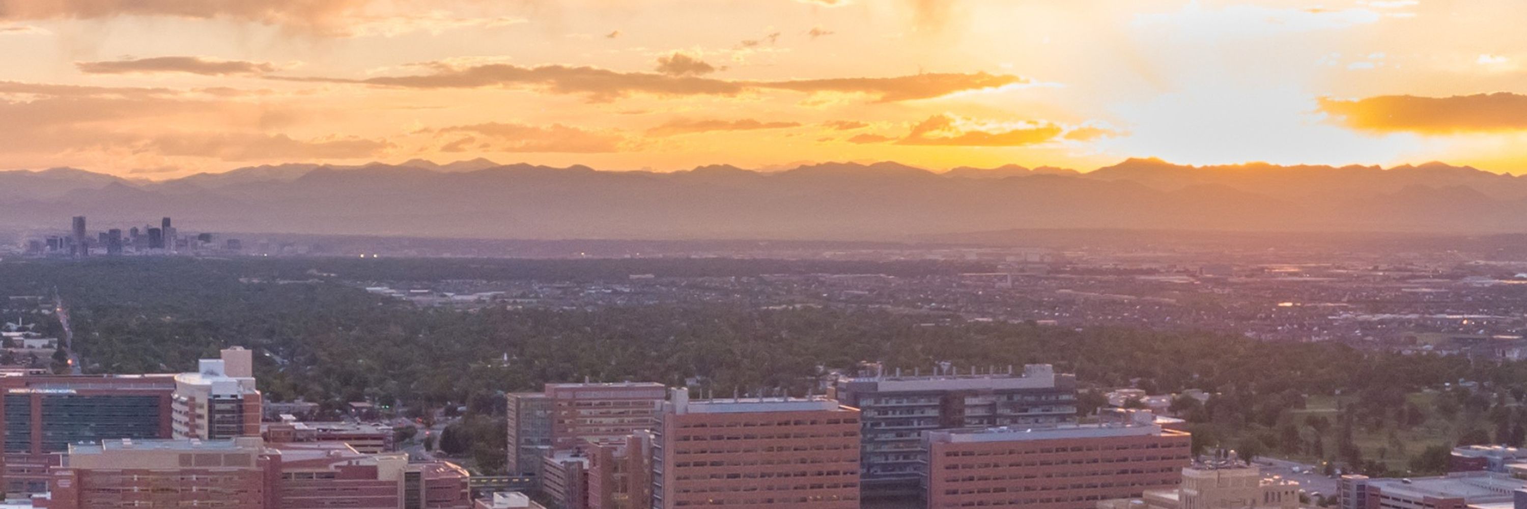 CU Anschutz Division of Hematology