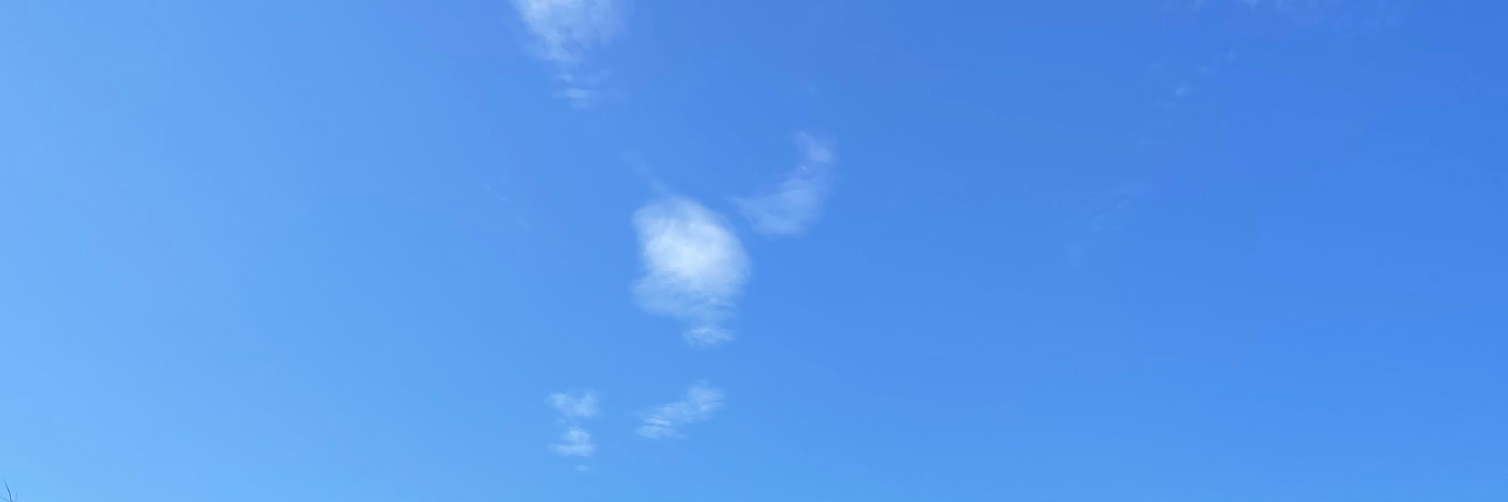 阿Bo