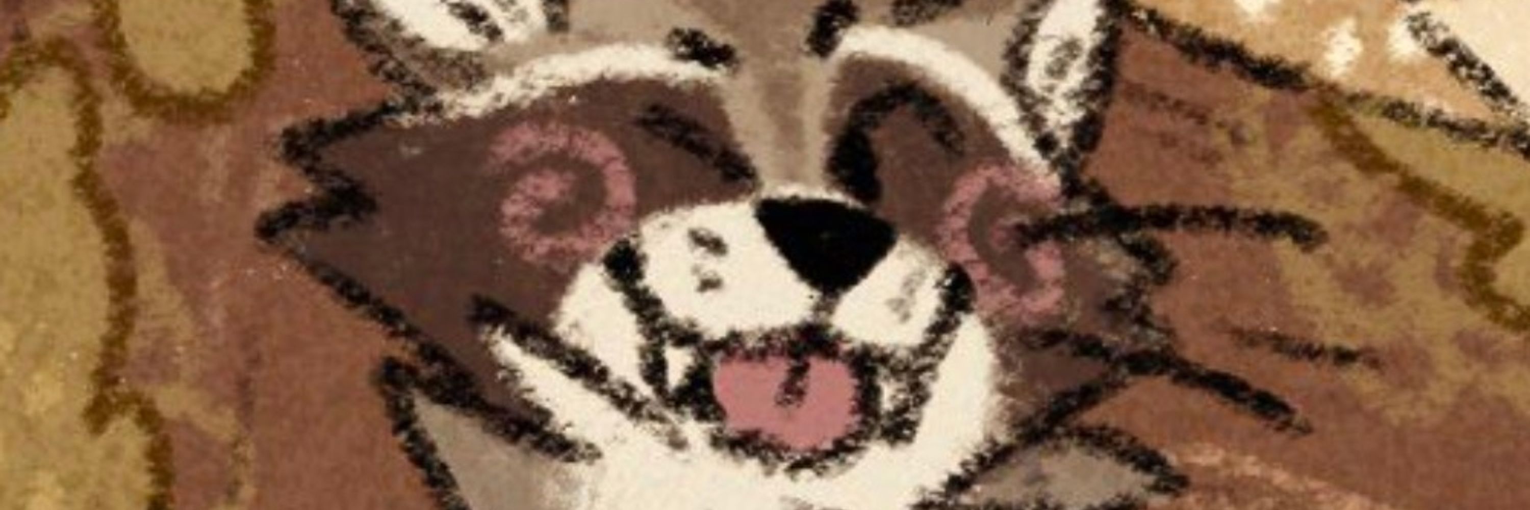 Coontail