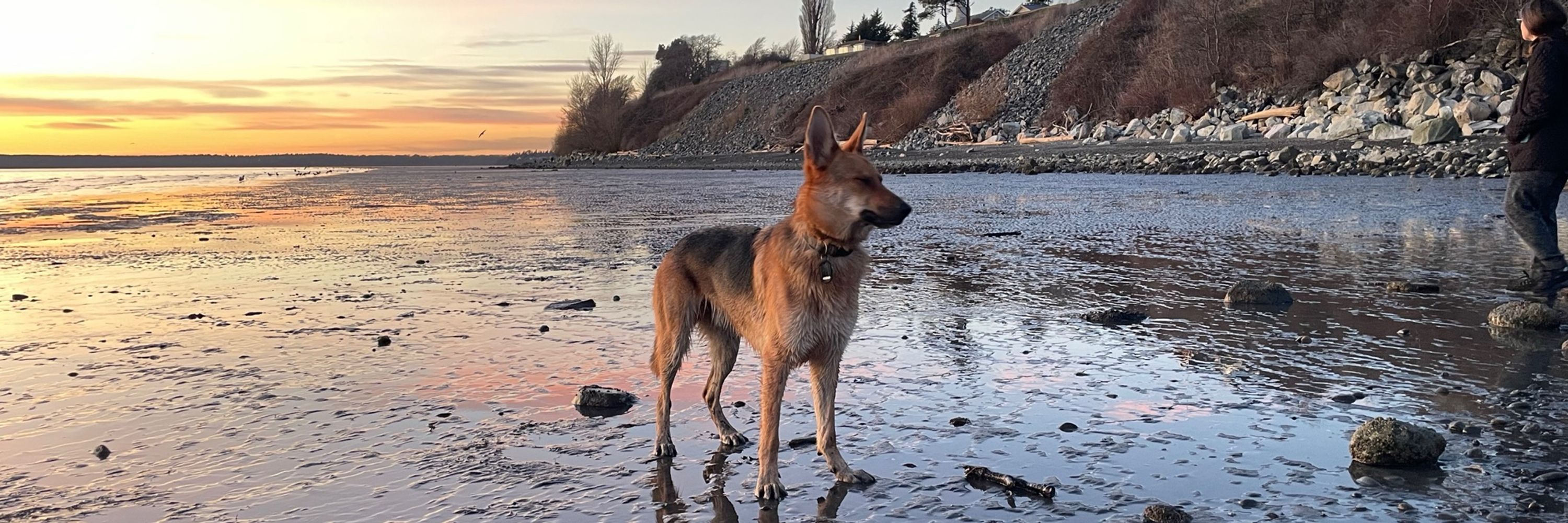 Cedar’s Adventures