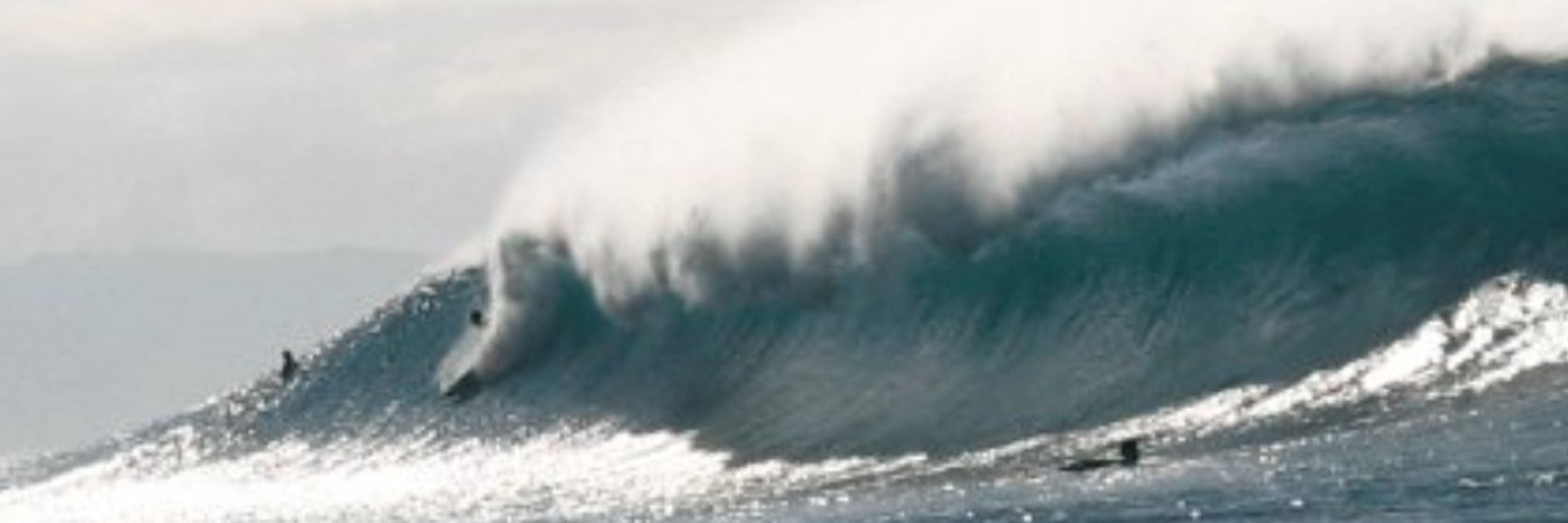 Surfer