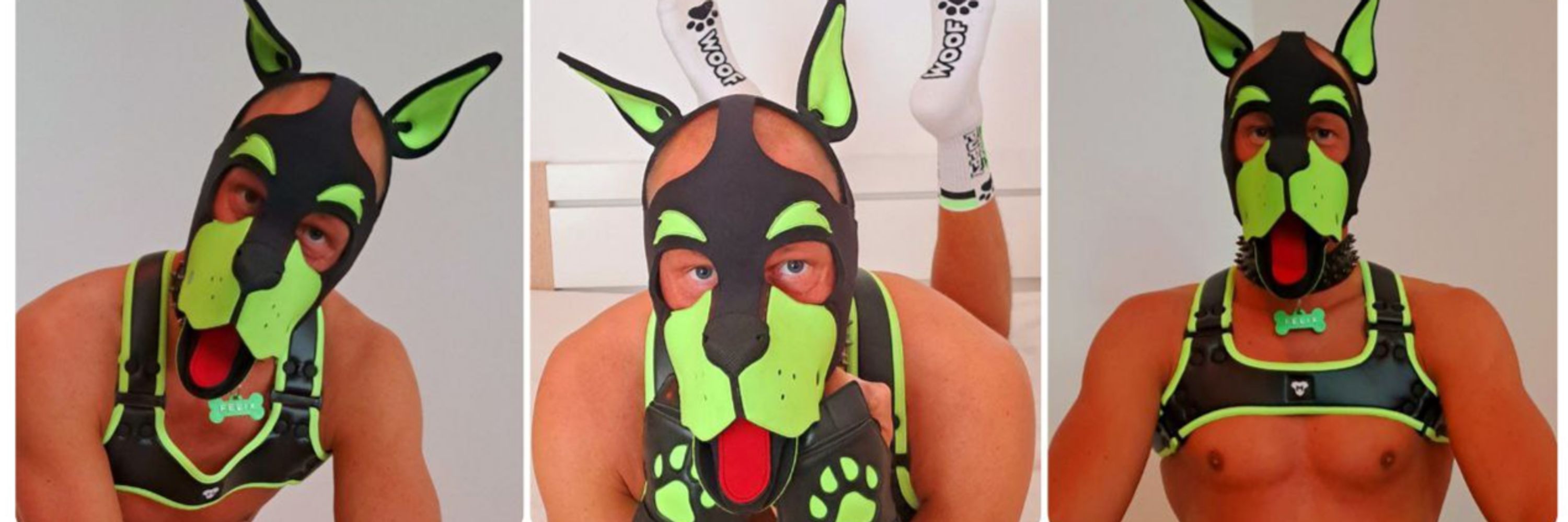 Puppy_Felix_BLN