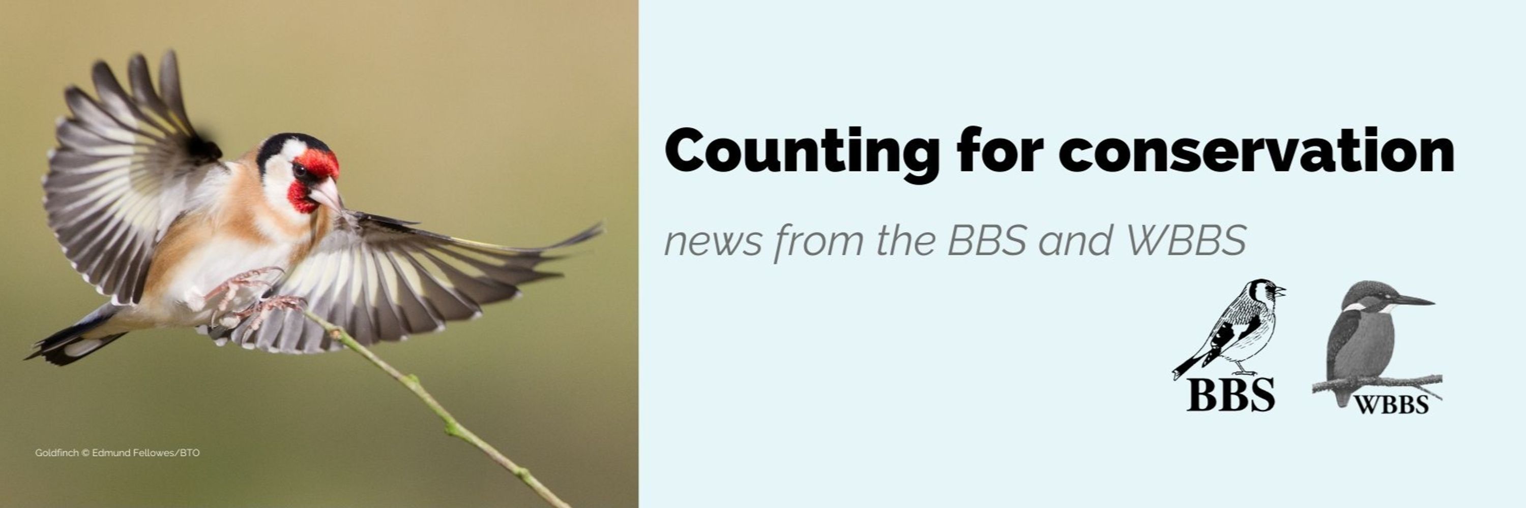 Breeding Bird Surveys (BBS)