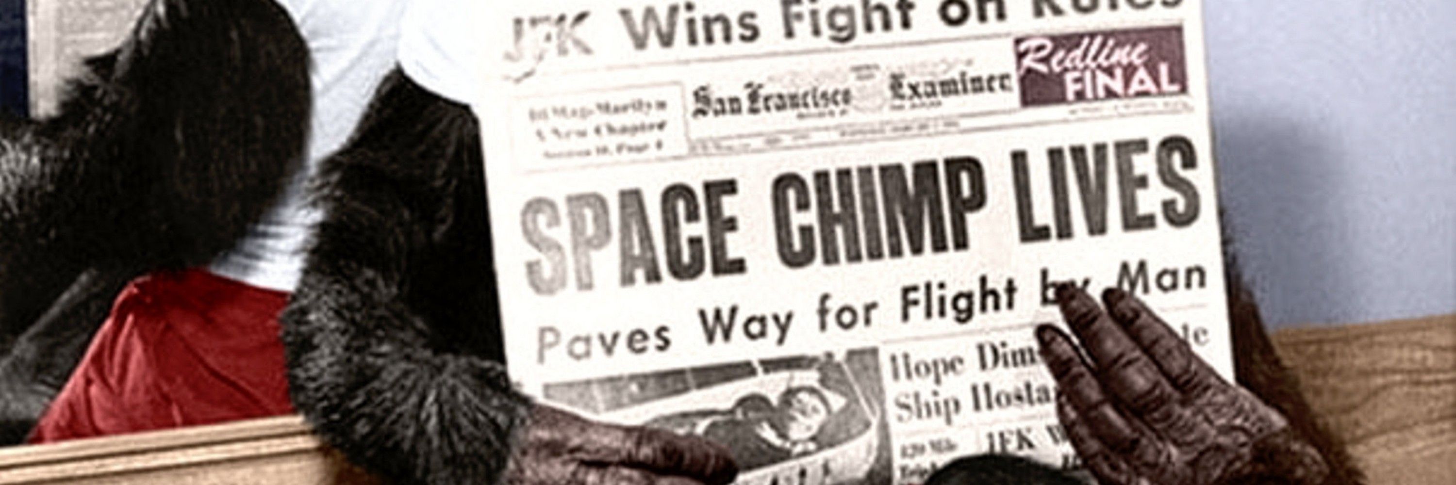 Professional Space Chimp