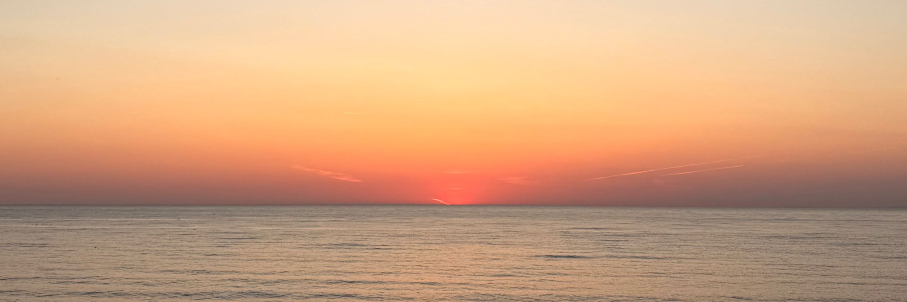 𝓜𝓮𝓵 ✨