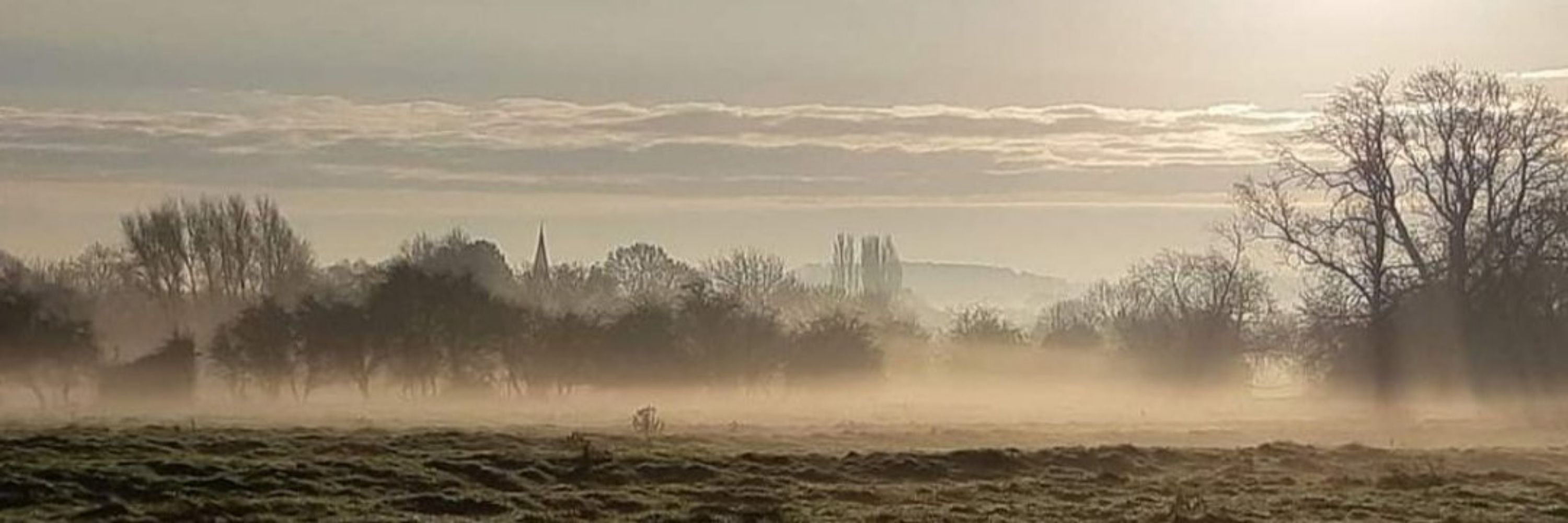 PROTECT DISEWORTH