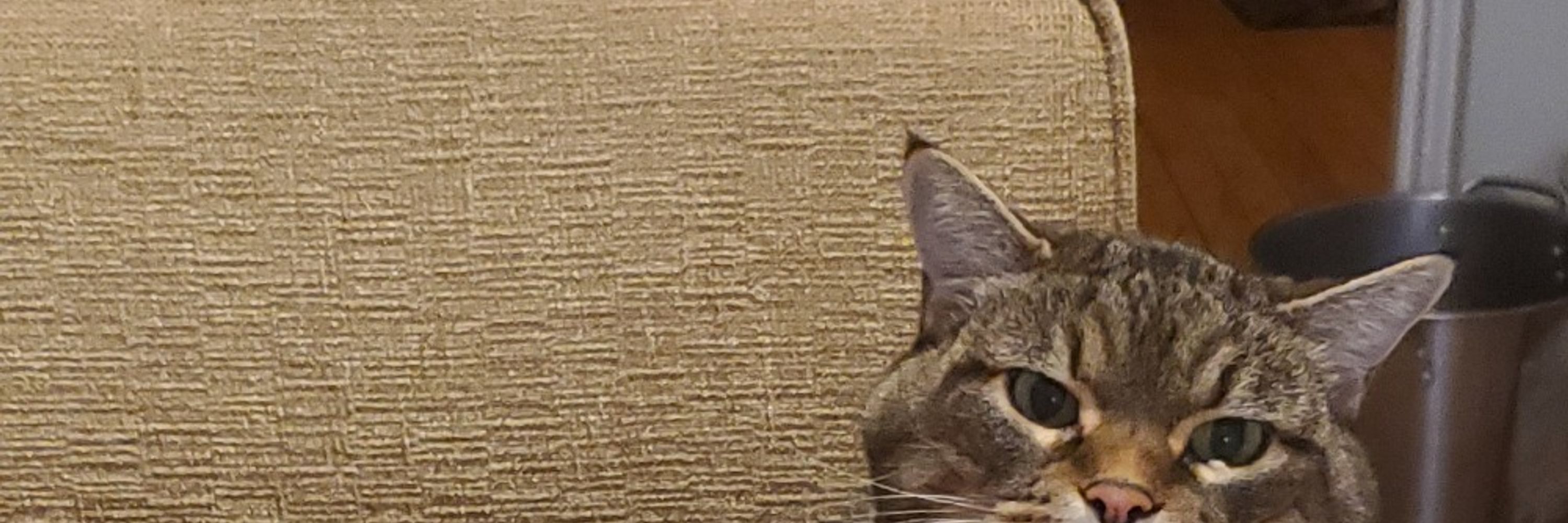 peeeeeeeeeeeeeeeeeeeeeeeee