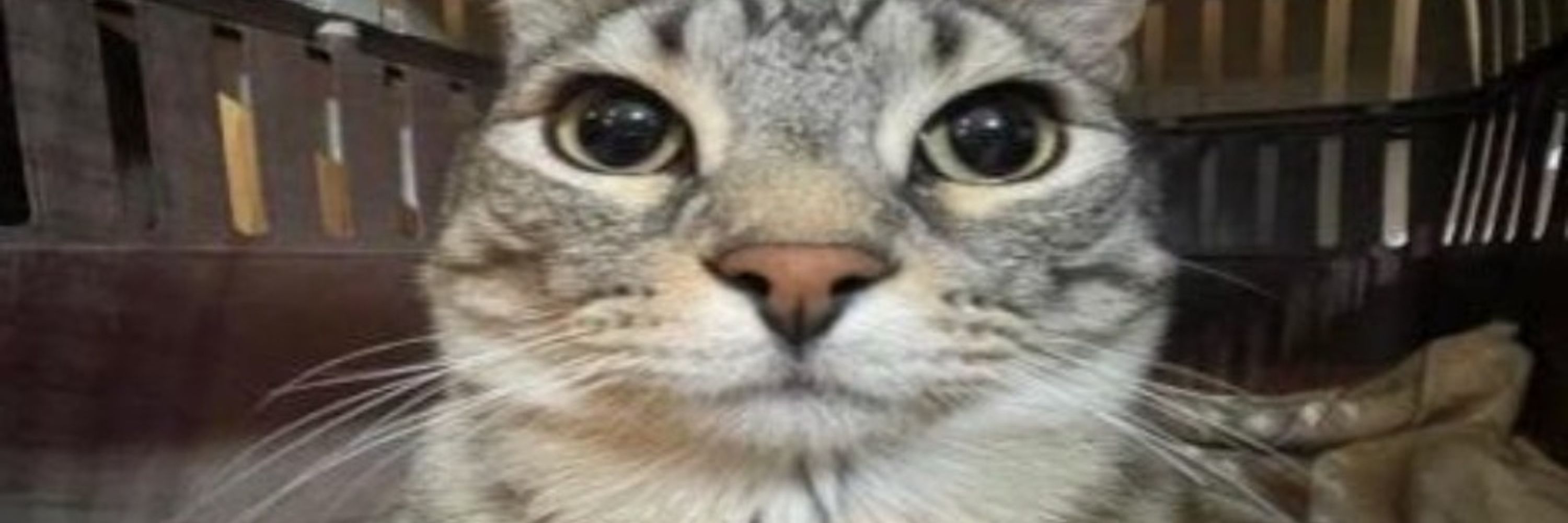 Est.-.