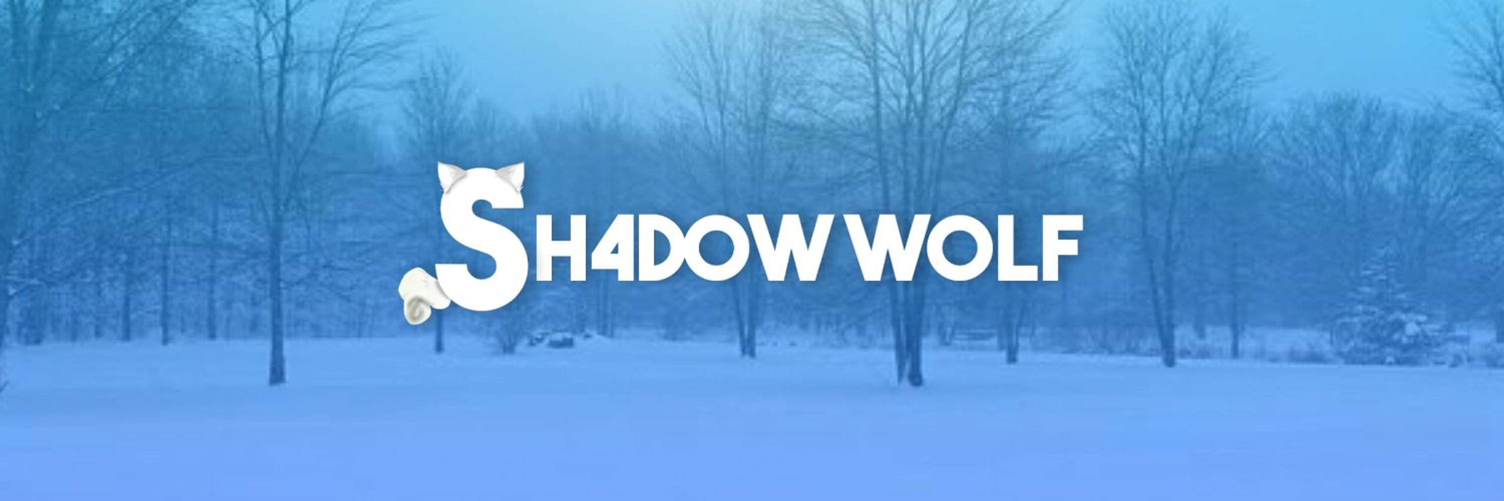SH4DOW W0LF