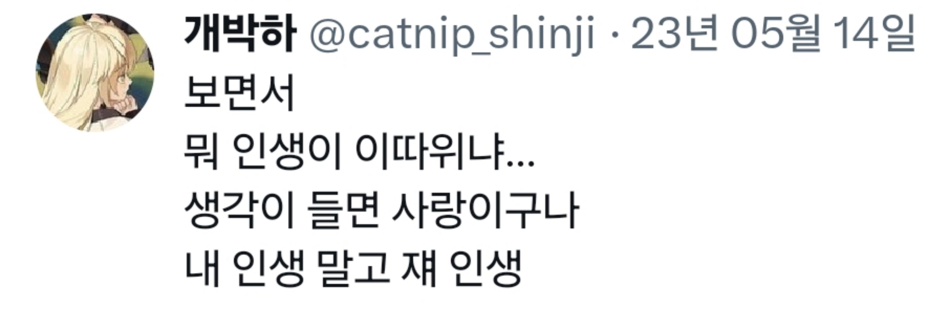 개박하
