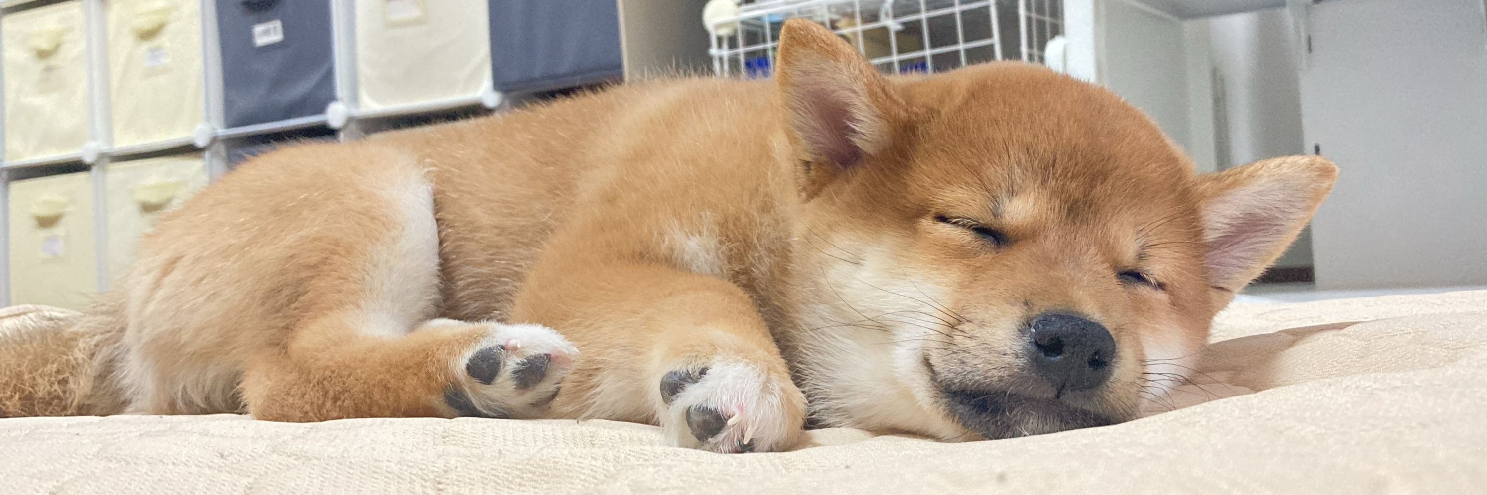 せきどめ