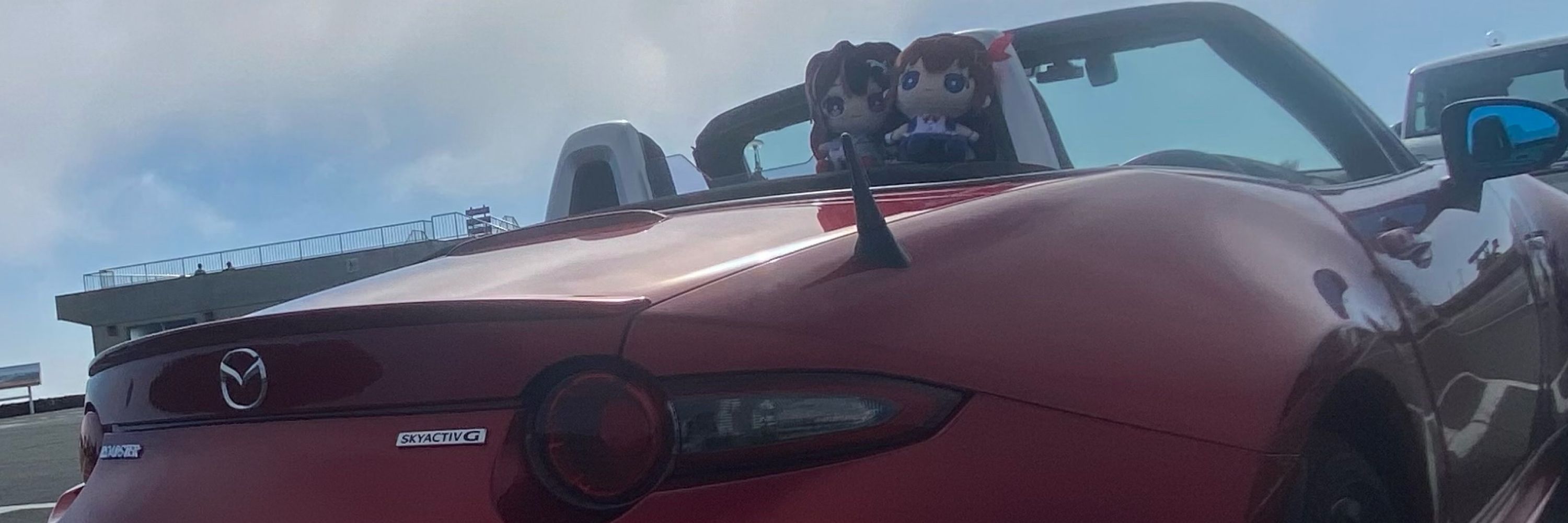 ゴマたけ