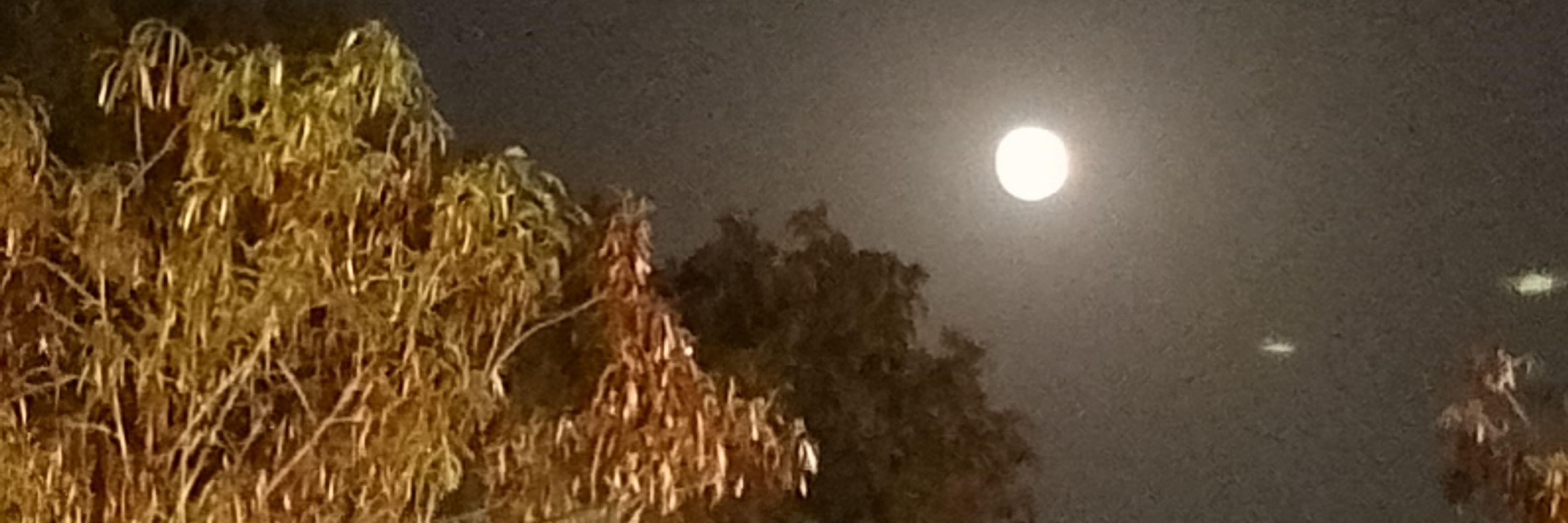 قبلہ بڑے ڈاکٹر ساب