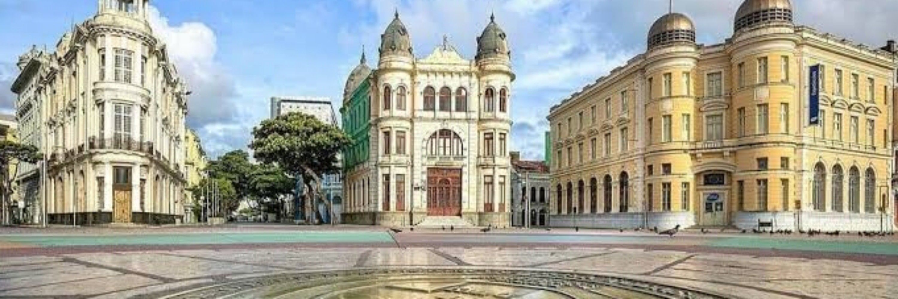 Allluccea 