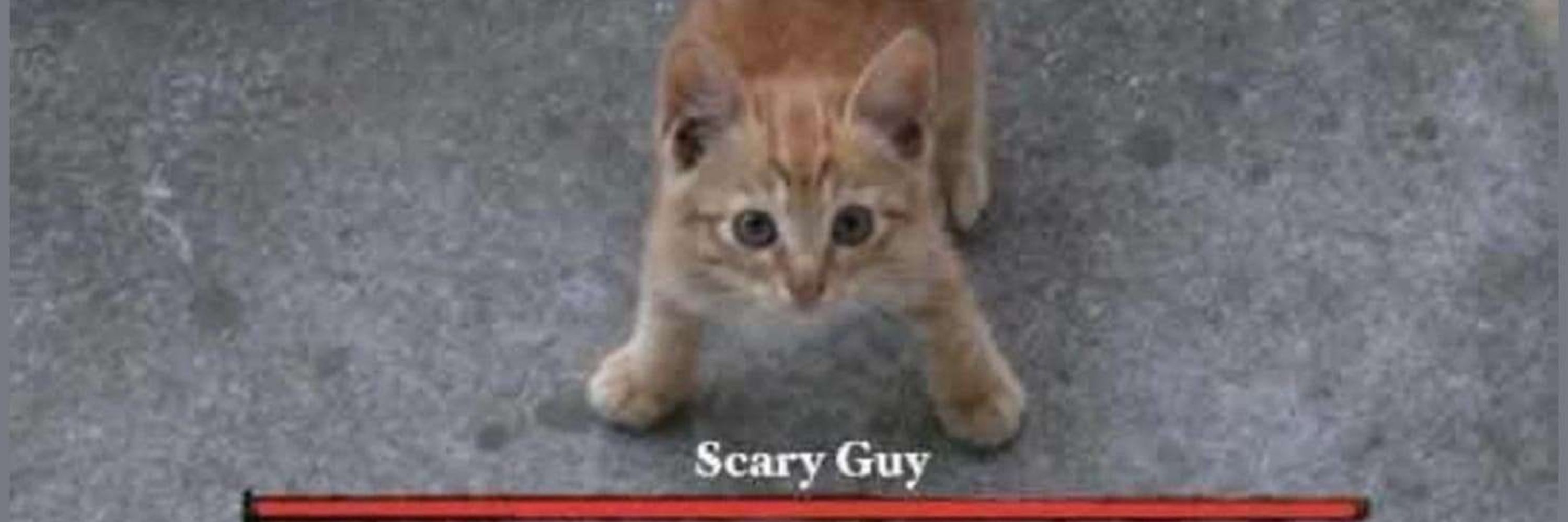 Joltchu