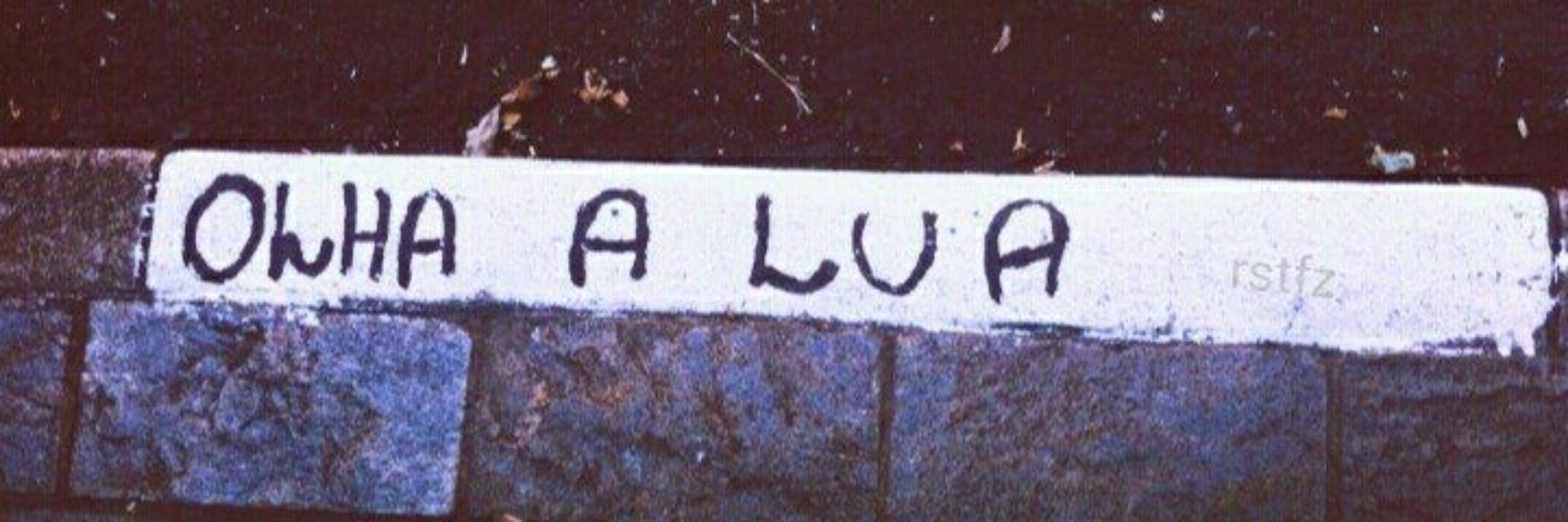 luqueta 🦇