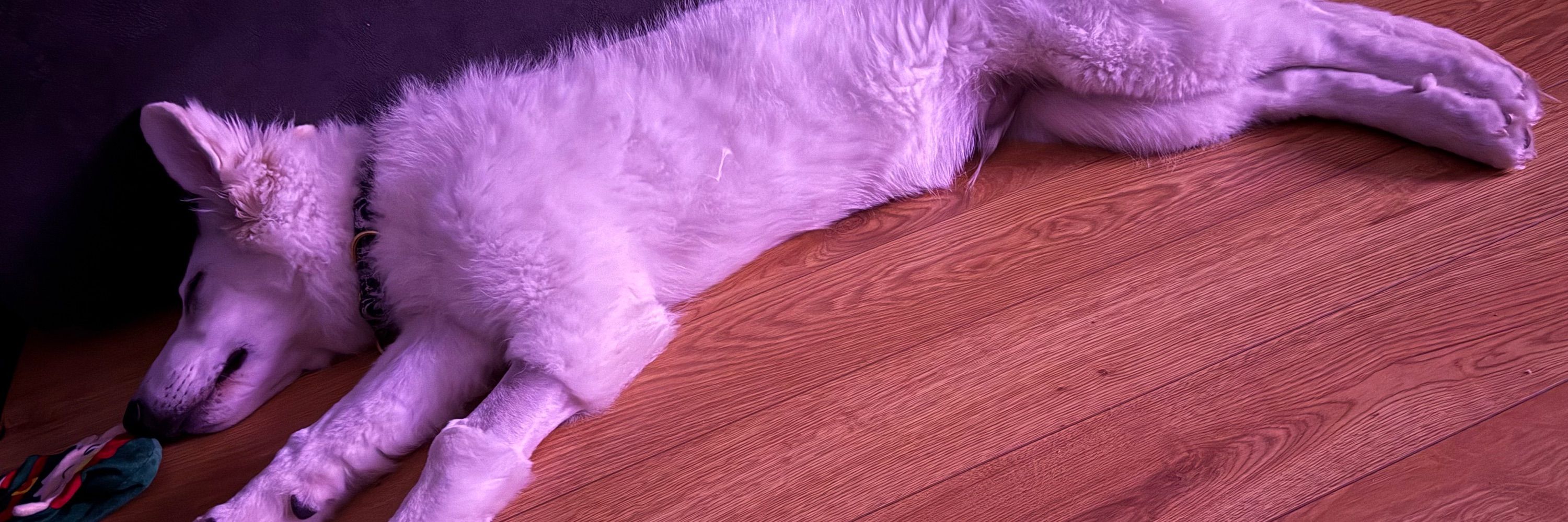 Luna and Egg