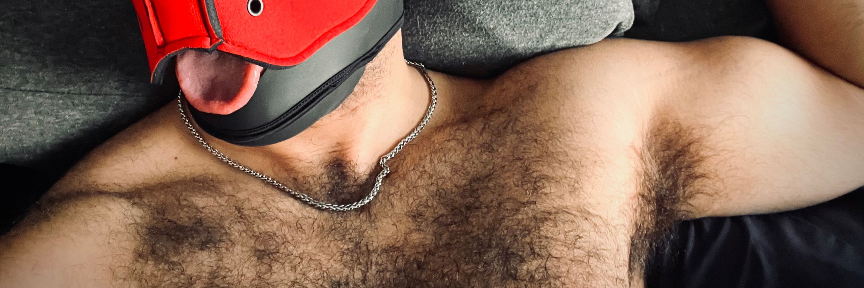 Pup Oso
