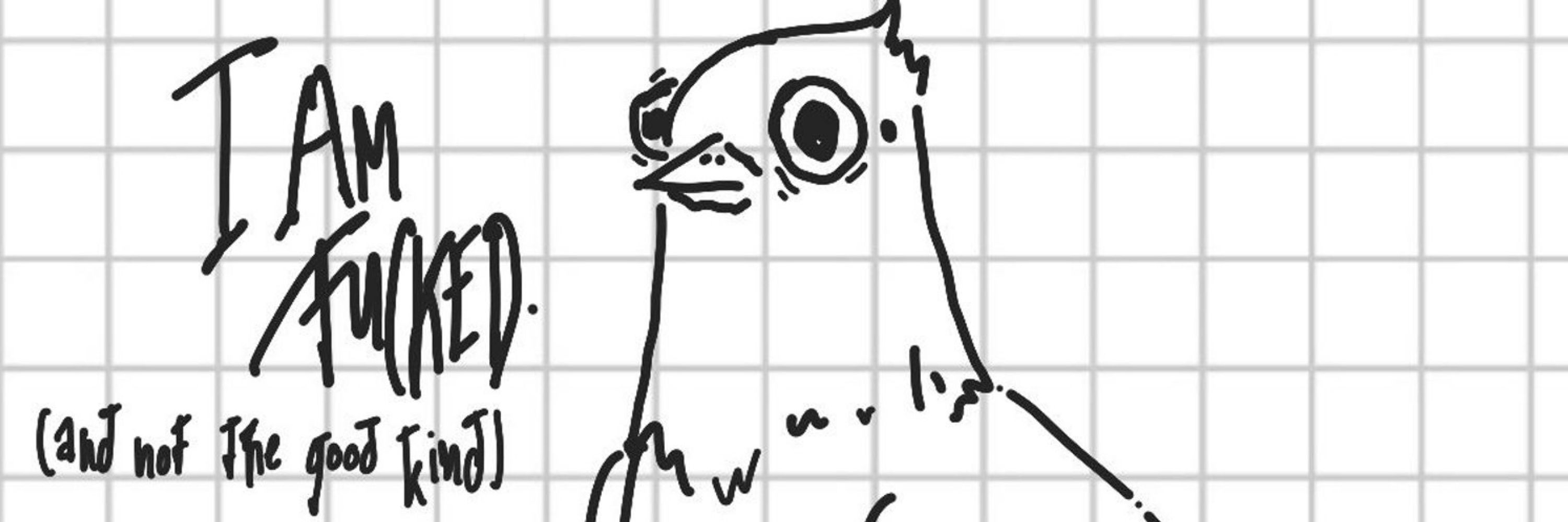 pigeon enthusiast