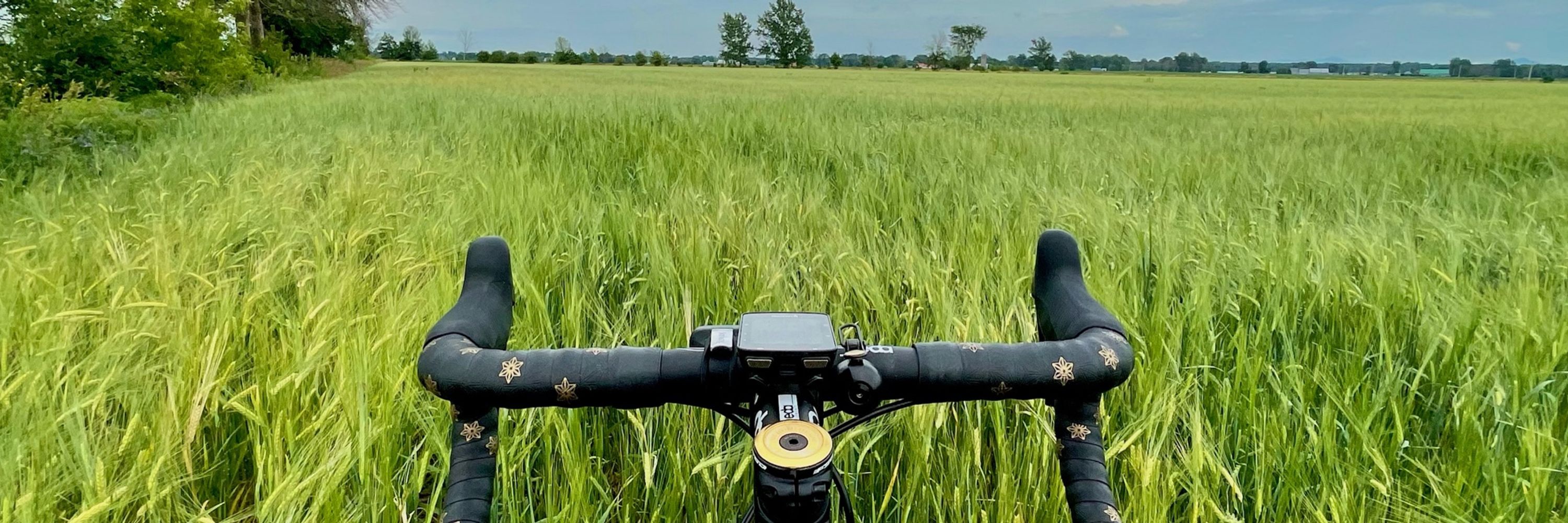 🇨🇦 canadian_lone_rider