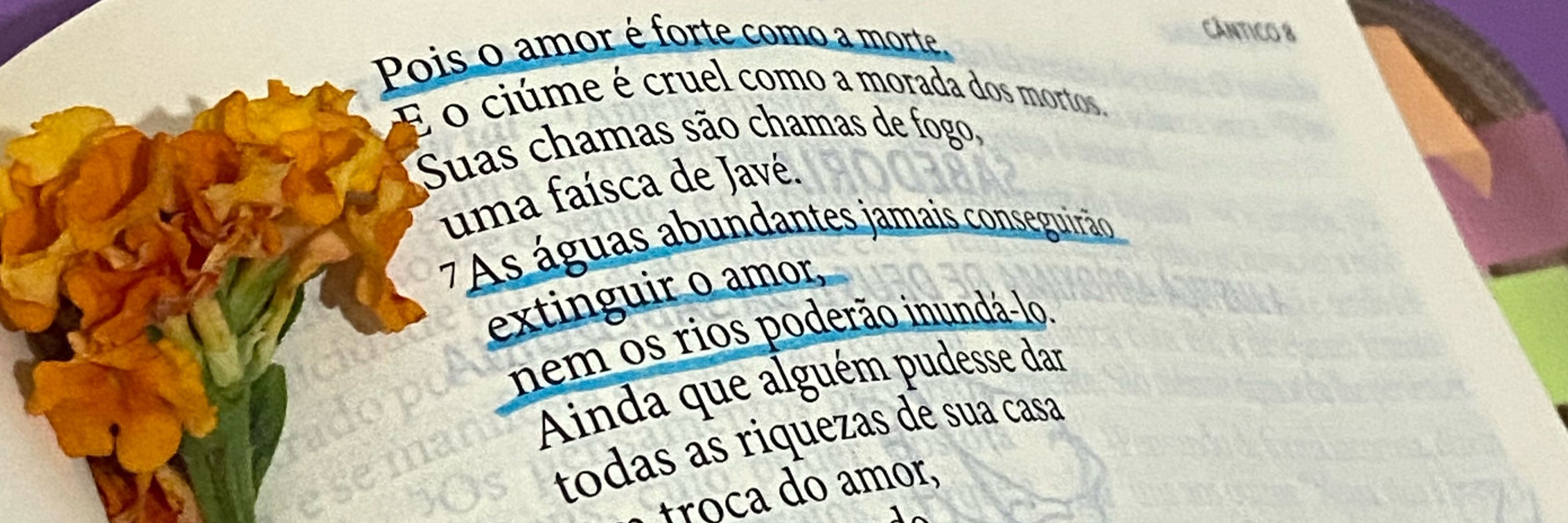 Raíssa 🌞
