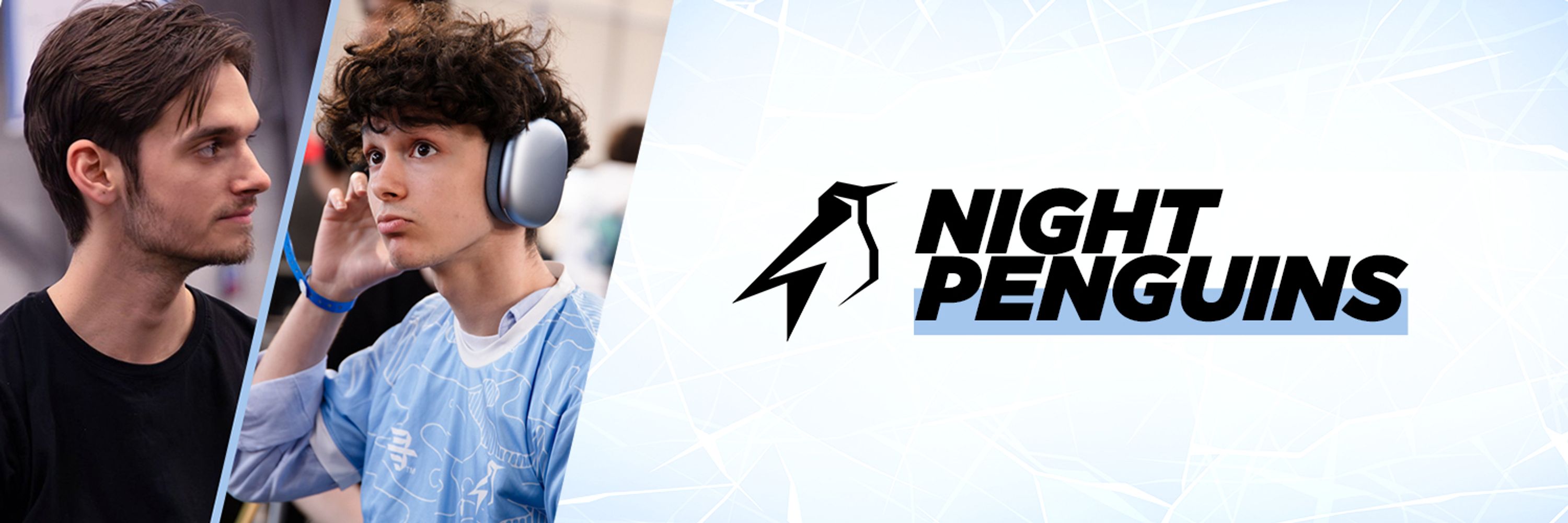 Night Penguins