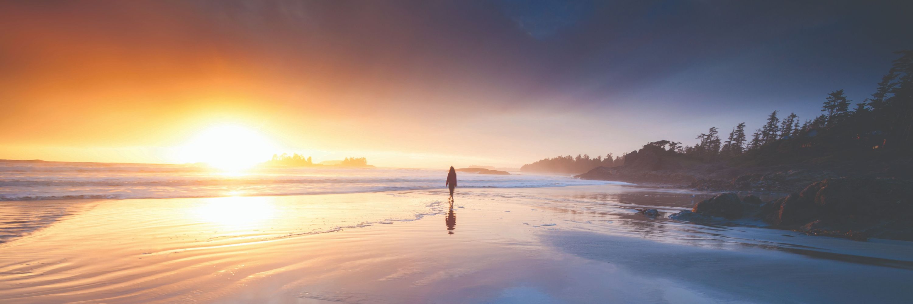 West Coast Environmental Law